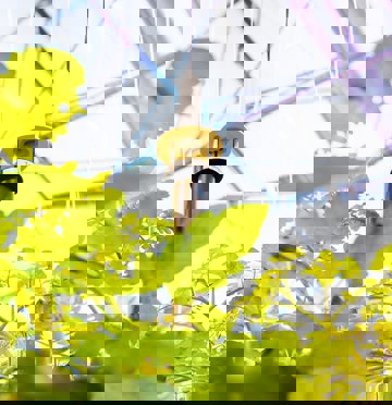 Priva World Horti Center