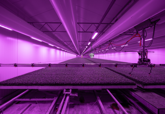 Automated indoor farm with LED lighting for seedling growth