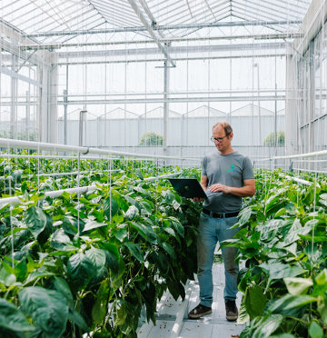 PRIVA Westland Tom Van Huisstede 0308