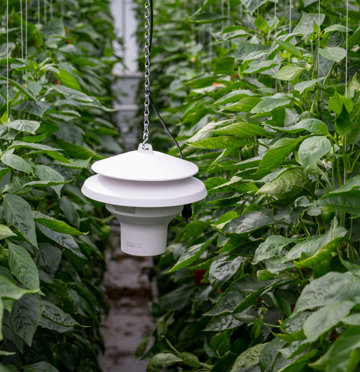 Priva E-Measuring Box SPE hanging in greenhouse for climate monitoring