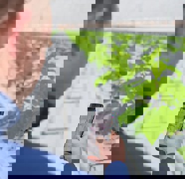 Person in greenhouse checks plant data on smartphone with Priva chart for crop monitoring and insights.