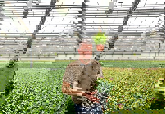 Person holding a potted plant in a large greenhouse with rows of greenery