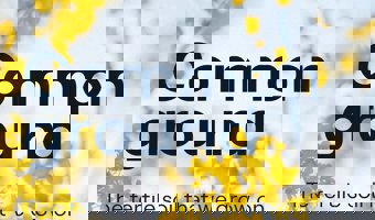 Priva Code Of Conduct