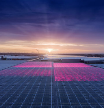 Exterior view of greenhouse with sunset