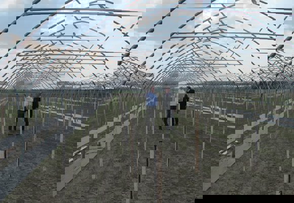 Osterlohtgf435 Small