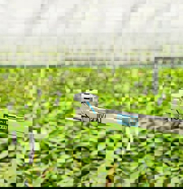 PAR sensor mounted on a PRIVA-labeled metal arm in a greenhouse with green plants.