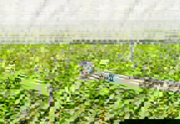 PAR sensor mounted on a PRIVA-labeled metal arm in a greenhouse with green plants.