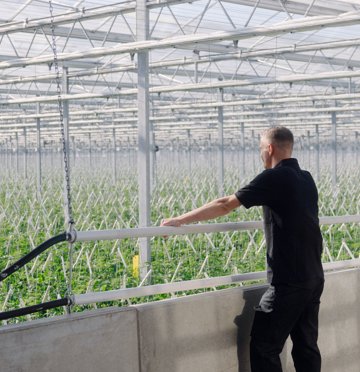 PRIVA Wittenberg Tomvanhuisstede 0296 Rs