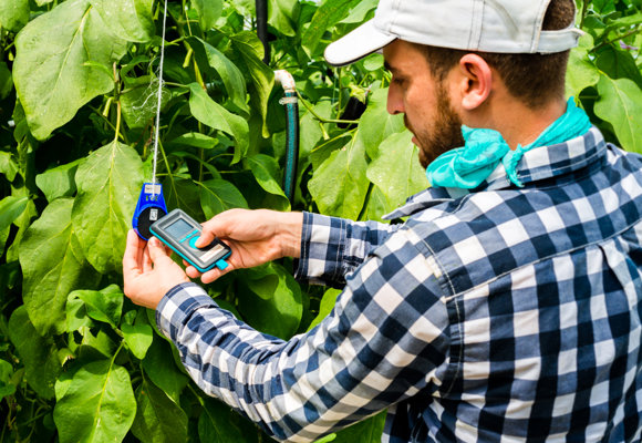 Boekesteijn Eggplants FS Performance Tag + Reader LR